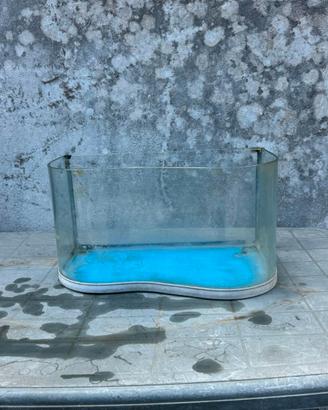 Vasca / Acquario per pesci e tartarughine