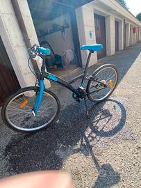 bicicletta per ragazzini tenuta bene