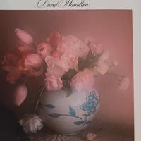 LA POESIA DEI FIORI DAVID HAMILTON IDEA LIBRI