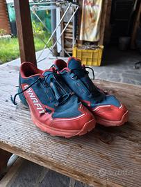 Scarpe Dynafit Trail Running 2022
