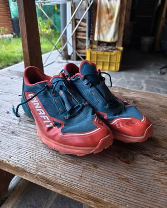 Scarpe Dynafit Trail Running 2022