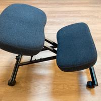 Sedia ergonomica Ikea