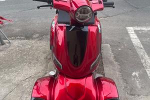 Quadriciclo elettrico