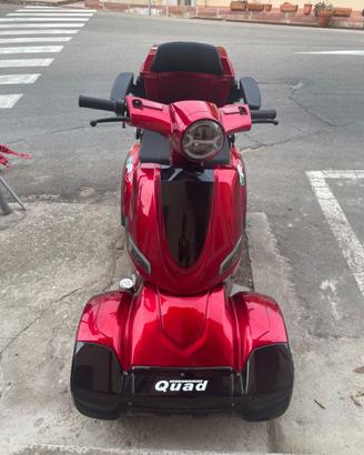 Quadriciclo elettrico