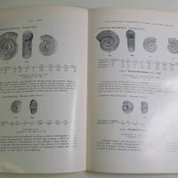 libro su riconoscimento minerali 