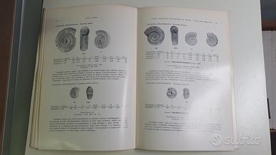 libro su riconoscimento minerali 