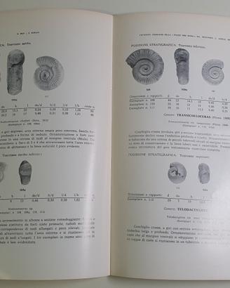 libro su riconoscimento minerali 