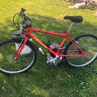 Mtb ragazzo Atala 24