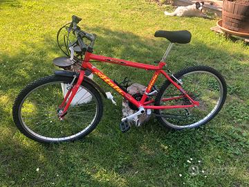 Mtb ragazzo Atala 24