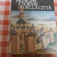 PRINCIPI E FORME DELLA CITTA' - CREDITO ITALIANO