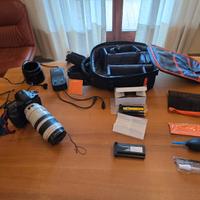 Canon EOS 1D Mark II + CANON EF 100-400MM 1:4.5-5.