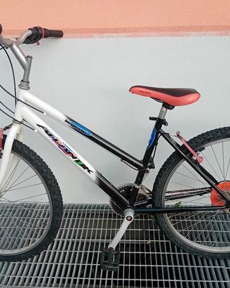 MOUNTAIN BIKE 18 RAPPORTI RUOTE DA 26"