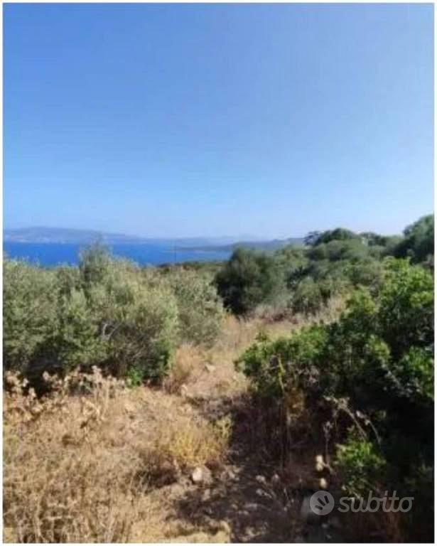 Immobile in asta di 10210 m² a Palau - Vista 4