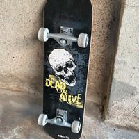 Skateboard Roces