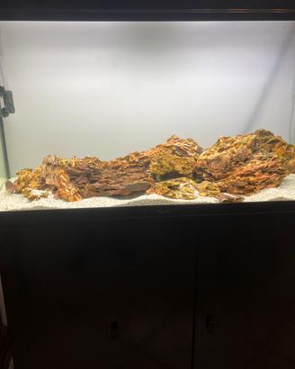 Acquario aquatlantis 200