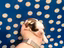 Immagine 17