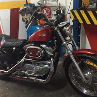Harley Davidson 883 Hugger Sportster 