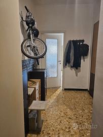 Monolocale cessione usufrutto vitalizio 45.000€