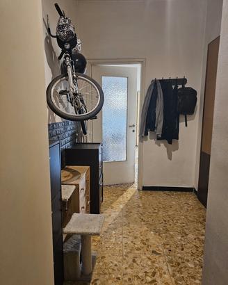 Monolocale si vende usufrutto vitalizio 45.000€