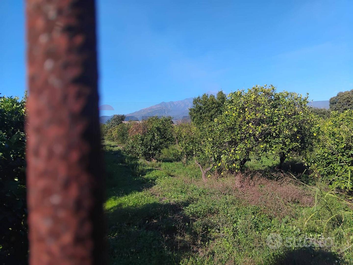 Terreno Industriale - Riposto - More
