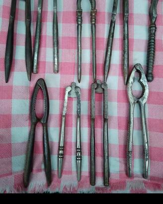 schiaccia noci 