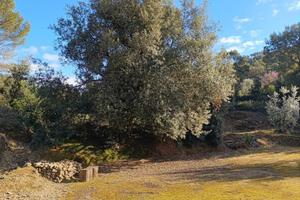 Terreno di 3470 m² a Itri
