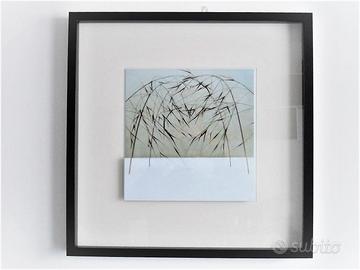 Fotografia d'arte titolo: Paesaggio#45