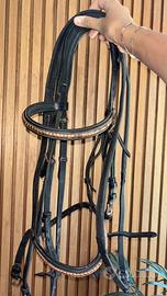 Testiera + redini Equestro