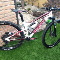mtb full carbon 29 specialized 