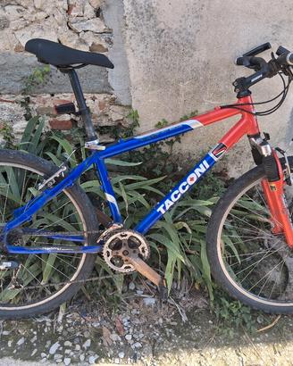 mtb tacconi