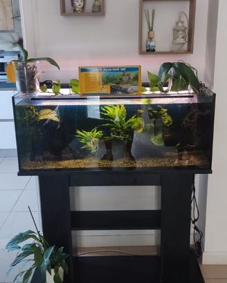 Privato vende acquario 100 lt