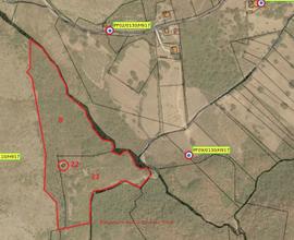 Locale deposito + terreno di mq 80.590