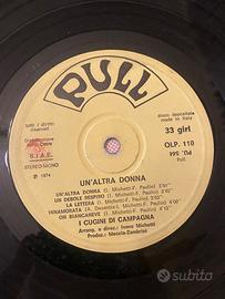 Vinile i cugini di campagna