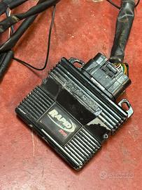 Centralina Rapid Bike EVO BMW R 1200 GS LC / ADV