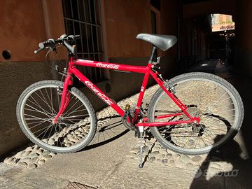 Bicicletta coca cola