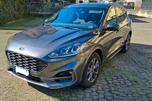Ford Kuga st-line 1.5L benzina 150 CV