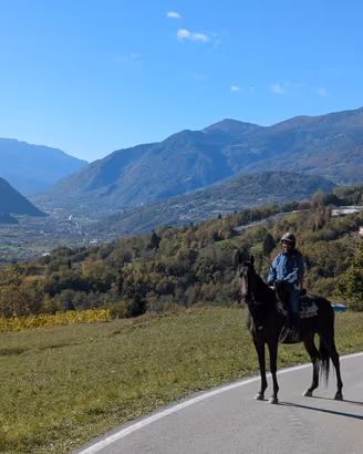 Mezza fida cavallo castone per principianti