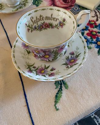 Tazza mesi da collezione