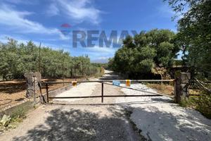 Terreno - Camporotondo Etneo