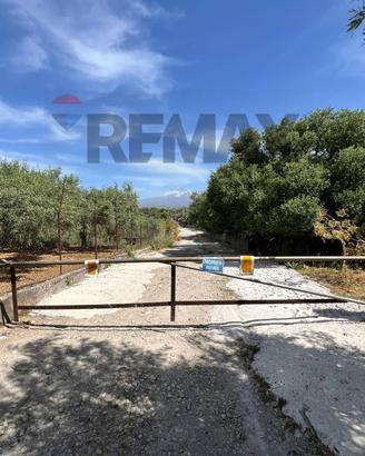Terreno - Camporotondo Etneo