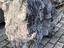 Immagine 13