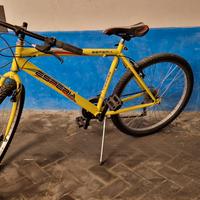 Mountain bike Esperia 26