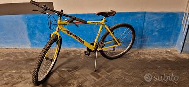 Mountain bike Esperia 26