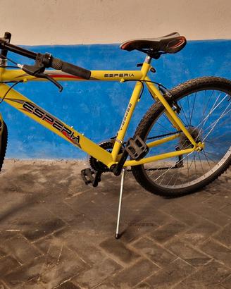 Mountain bike Esperia 26