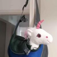 👜 Borsa per trasporto cane taglia piccola