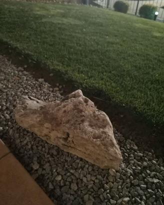 Pietre da giardino/roccioso