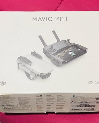 Dji Mavic Mini