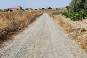 Terreno agricolo