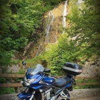 Suzuki Gsf Bandit 1250 