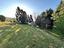 Immagine 26